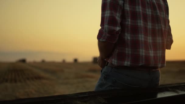 Hombre mirando campo de pajar después de la cosecha de trigo. Agrónomo desconocido al atardecer — Vídeos de Stock
