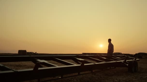 인간 실루엣은 기계로 밀밭을 서 있다. 농업 산업의 개념 — 비디오