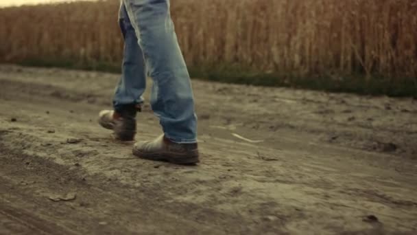 Άνθρωπος αγρότης πόδια σε παπούτσια περνώντας γεωργική γη αγροτικό δρόμο. Κοντινές μπότες από καουτσούκ. — Αρχείο Βίντεο