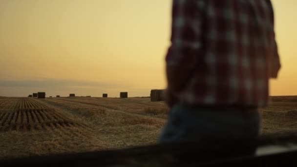 El granjero parece pajar campo de trigo después de la cosecha al atardecer. Concepto de cultivo agrícola. — Vídeos de Stock