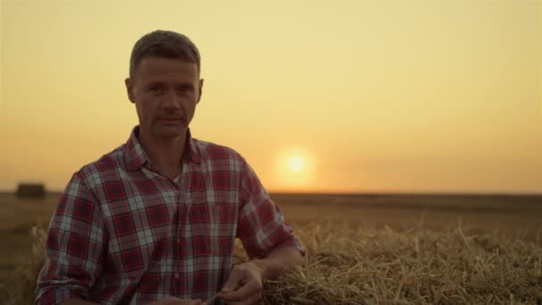 Feliz agricultor comprobar la calidad de la espiguilla en el campo de puesta del sol de oro. Concepto agronegocio — Vídeo de stock