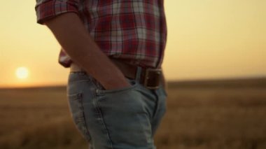 Tanınmayan çiftçi, altın rengi günbatımında boş arazide yürüyor. Hasat bitiş konsepti