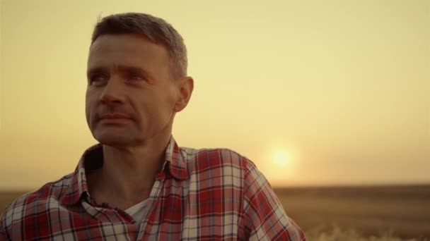 Fazendeiro feliz em pé no campo de trigo na hora do pôr-do-sol dourado. Retrato Agronomista — Vídeo de Stock