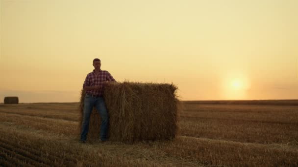 Rolnik stoi samotnie na polu stogu siana o zachodzie słońca. Widok krajobrazu wiejskiego — Wideo stockowe