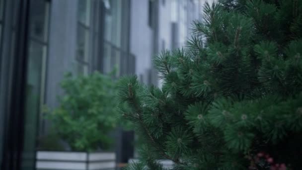 Two managers walking office center yard rear view. Daily routine at downtown. — Stock Video