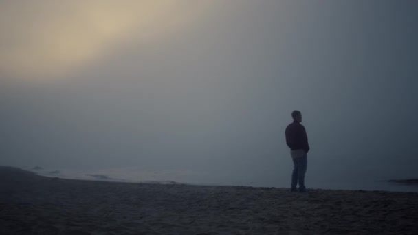 바다에서 해변에 서 있는 평온 한 사람. 바다 풍경을 즐기는 꿈꾸는 사나이 — 비디오