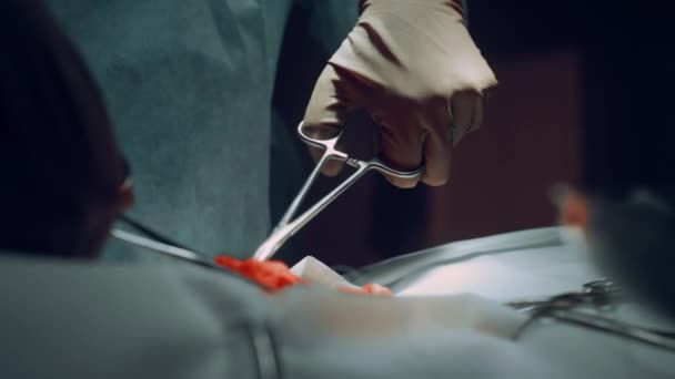 Primo piano chirurgo mani sutura ferita con forcipe in ospedale sala operatoria. — Video Stock
