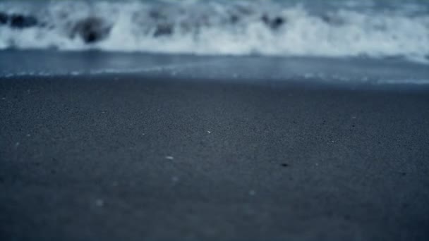 백조 가 해변 모래에 부딪히고 있어. 해안선에 수면에 떠 있는 푸른 바닷물. — 비디오