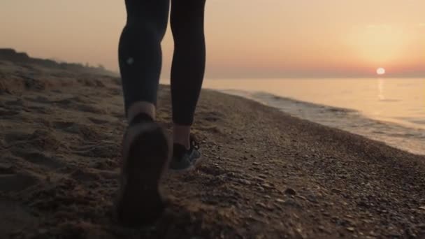 Nahaufnahme schlanke Frauenfüße, die bei Sonnenuntergang am Sandstrand spazieren gehen. Mädchen stakst am Meeresufer — Stockvideo