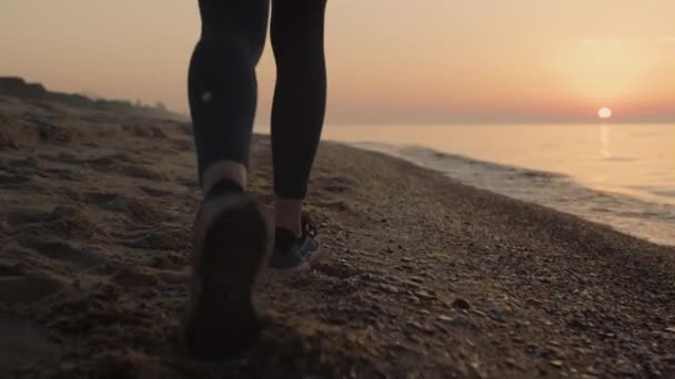 Primer plano delgada mujer pies caminando playa de arena al atardecer. Chica pisando en la costa — Vídeo de stock