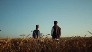 Tarım ekibi altın buğday tarlasında çalışıyor. İşçiler ekinlerin dikiz görünümünü inceler.