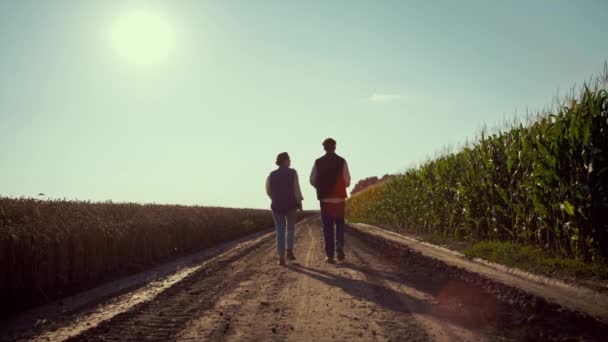 นักเกษตรศาสตร์เดินบนพื้นดินด้วยกัน สีลูเอทของเกษตรกรกําลังตรวจสอบการเก็บเกี่ยว — วีดีโอสต็อก
