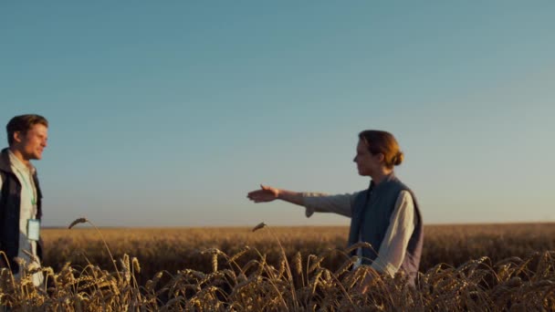Agro parceiros apertando as mãos inspecionar colheita de trigo cultivado em luz solar dourada — Vídeo de Stock