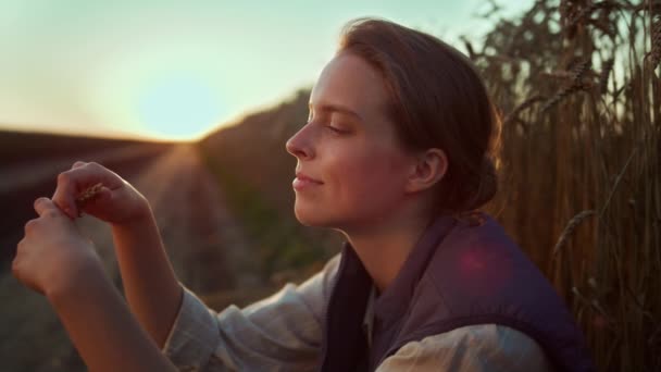 Portret boer onderzoekt tarwe spikeletten bij gouden zomer zonsondergang op landbouwgrond. — Stockvideo