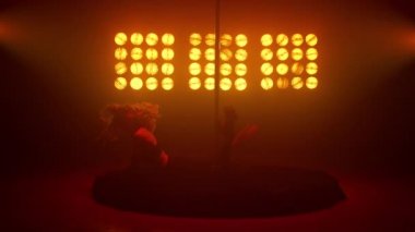 Sahnede duygusal olarak dans eden tutkulu bir kadın. Poledance yapan kız.