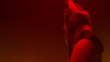 Kulüpte sicim dansı yapan muhteşem bir kadın. Kız direkte dans ediyor..