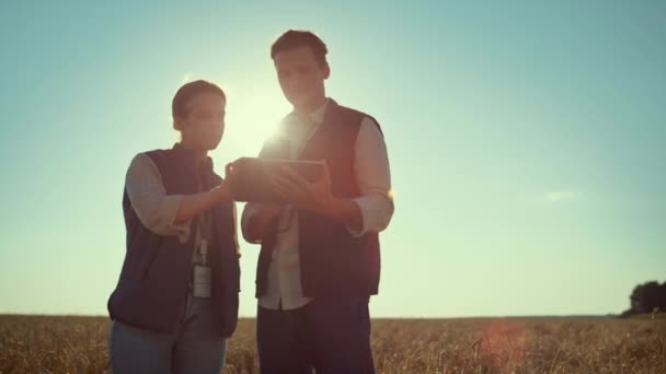 Zwei Bauern arbeiten im goldenen Sonnenlicht am Tablet-Computer. Moderne Agritech-Industrie. — Stockvideo