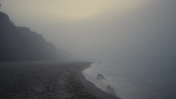 Scénický výhled na skalnatou pláž v ranní mlze. Mořská krajina při východu slunce — Stock video