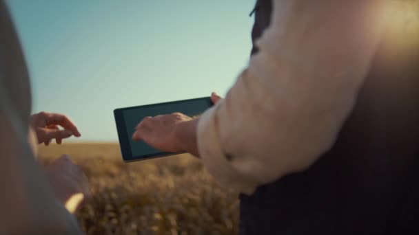 Mãos tocando cromakey tablet no campo de trigo closeup. Indústria agro-tecnológica moderna — Vídeo de Stock