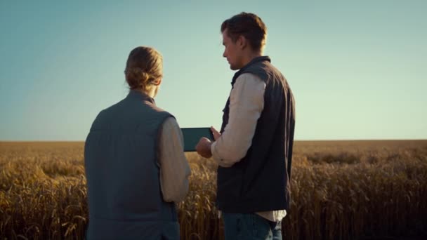 İki çiftçi buğday tarlasından konuşuyor. Krom anahtar tableti tutan erkek elleri yakın plan. — Stok video