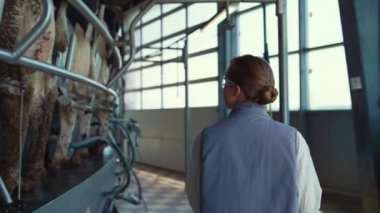 Mandıra çiftçisi, süt ürünleri üretim salonundaki süt sağma ekipmanlarını kontrol ediyor..