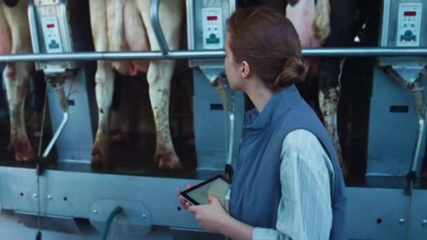Trabalhador do sector leiteiro a verificar o fecho das máquinas de ordenha. Gestor de gado usando tablet — Vídeo de Stock