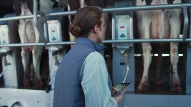 Pracovník živočišné výroby kontroluje detailní záběr dojicího stroje. Moderní výroba mléka. — Stock video