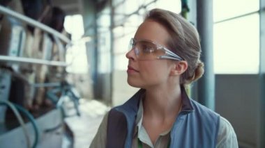 Modern süt ürünleri imalatında çiftlik hayvanları sağma işlemi.