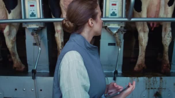 Woman inspect milking equipment hold tablet computer in modern parlour closeup. — Video