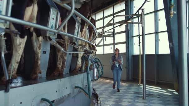 Livestock worker collecting data on dairy farm. Woman inspect suction machinery — Stock Video