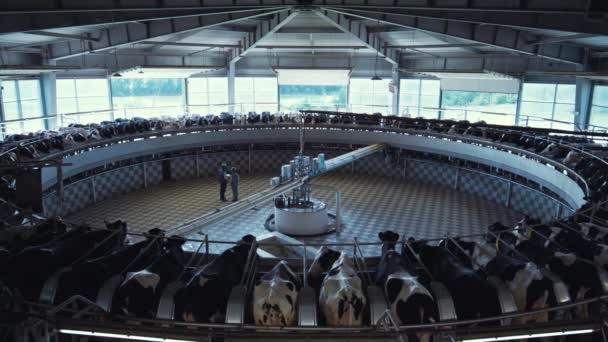 Automatisk mjölkkarusell modern mjölkgård anläggning. Modern salong interiör. — Stockvideo