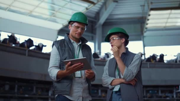 Trabalhadores pecuários verificando instalações de produção. Equipamento automatizado exploração leiteira. — Vídeo de Stock