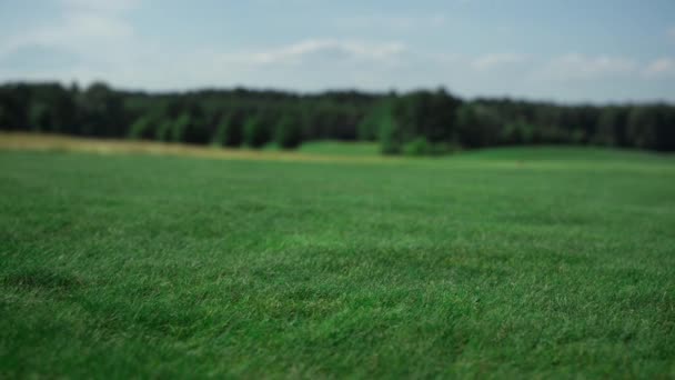 Green golf course grass growing on fairway field. Tranquil landscape concept. — Vídeo de stock