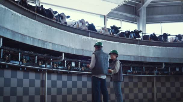 Mléčná farma specialisté pracující v moderní automatizované dojírny spolu. — Stock video
