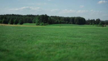 Golf sahası manzarası golf kulübünde. İnsan yok, doğa rahatlatıcı kavram..