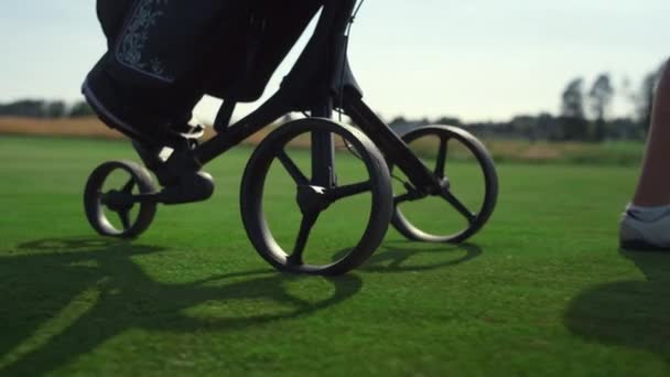 Golfer carry sport equipment trolley clubs bag. Golf player legs walk on course. — Video