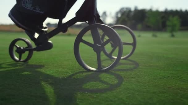 Golf player using clubs trolley on course. Golfer legs walk take sport equipment — Video Stock