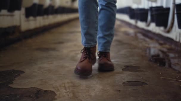Livestock manager legs walking shed alone closeup. Animal husbandry facility. — Vídeos de Stock