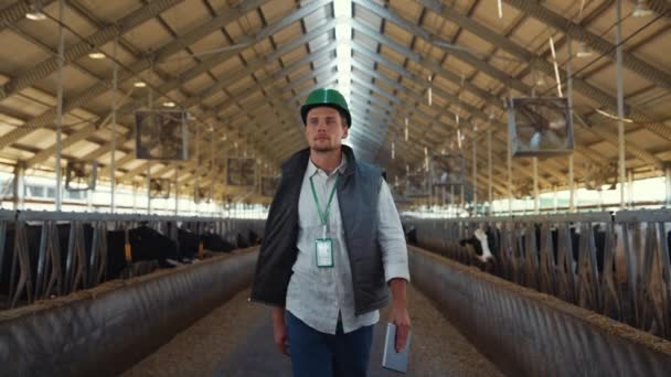 Gospodarstwo rolne właściciel chodzenia stodoła kontroli codziennej pracy w zakładzie hodowli zwierząt — Wideo stockowe