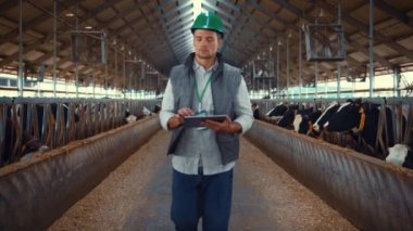 Mandıracı ahır koridorunda yürüyor. Eller tablet ekranını tıkırdatıyor.
