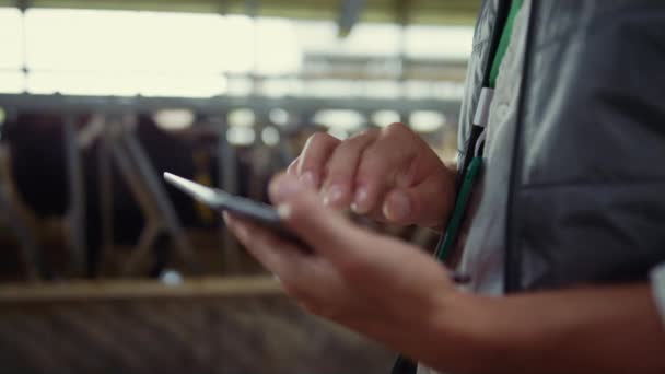 Closeup farmer hands using tablet computer in modern dairy farm facility cowshed — стоковое видео
