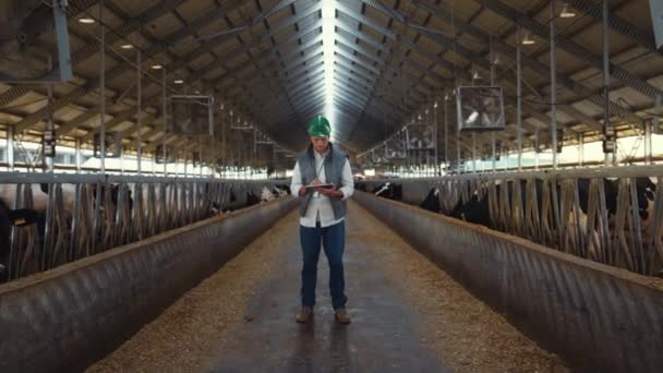 Livestock supervisor holding tablet computer in modern cowshed farm facility. — Wideo stockowe