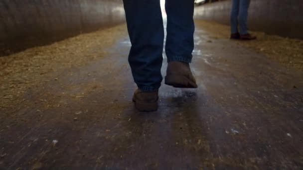 Closeup Farmer Boots Strolling Wooden Shed Aisle Agricultural Team Work — Stok video