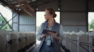 Livestock worker walking animal husbandry. Professional breeder holding tablet.