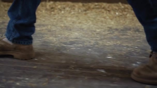 Αγρότης πόδια περπάτημα στάβλο κτίριο closeup. Κτηνοτρόφος που ελέγχει αχυρώνα — Αρχείο Βίντεο