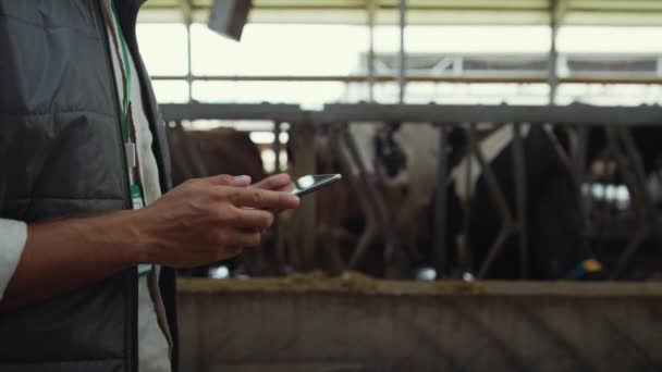 Farmer hands holding tablet computer closeup. Livestock owner walking cowshed. — Stock Video