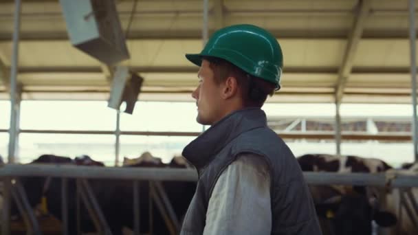 Livestock supervisor walking shed controlling work of milking farm close up. — Stockvideo