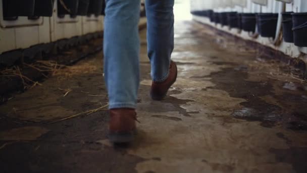 Scarpe contadino camminare stalla impianto primo piano. Operaio agricolo che controlla fienile — Video Stock