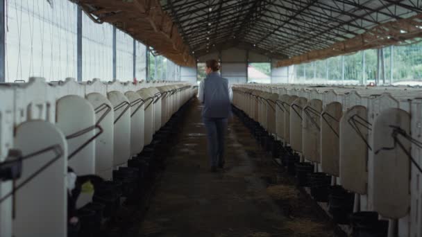 Woman checking cattle shed at countryside rear view. Dairy production farm. — Vídeo de Stock