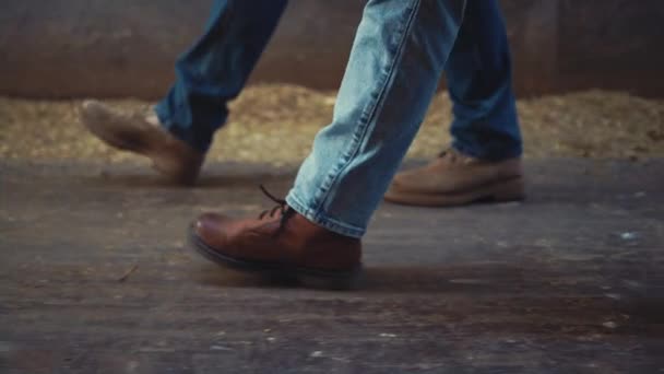 Κοντινό πλάνο πόδια κτηνοτρόφων πόδια περπάτημα ξύλινο υπόστεγο. Γεωργική ομάδα στην εργασία. — Αρχείο Βίντεο